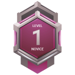 Level 1: Novice